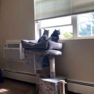 Meet your Posher, Noelle